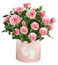Pink roses flower arrangement in Pot:  same day delivery available