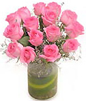 Pink roses in Style