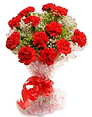 Red carnation flowers to Chennai