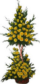 4ft Two step 100 Roses Flowers Arrangement to Chennai delivery