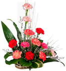 Thank you with 12 Carnation Basket to Chennai Delivery