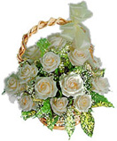  15 White / Creamy Roses in Basket for Condolence to Chennai Delivery