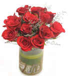 12 Red Roses in a Vasee