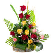 Congratulations with 15 Mixed Roses Basket to Chennai Delivery