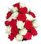 18 Red and White Rose Flowers Bouquet to Chennai Delivery