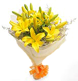 Exotic Lilies in Chennai