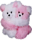 Send Soft Toys Twin Teddy to Chennai Delivery.