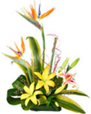 Lily and BOP Flower Basket to Chennai Delivery 
