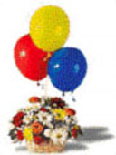 New born Gifts with Bouquet and Balloon to Chennai Delivery