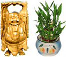 Diwali Gifts with Buddha with Lucky Bamboo to Chennai Delivery
