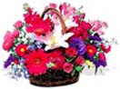 Thank you with Mixed Flower Basket to Chennai Delivery
