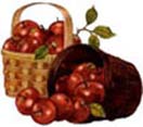 Get well Soon with 2kgs. Apple Basket to Chennai Delivery