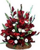 Thank you with Gladiolus Arrangement to Chennai Delivery