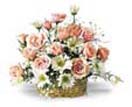 Pink Rose white Daisies Basket for Condolence to Chennai Delivery 