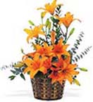 Id Ul Fitri with Lilies Arrangement to Chennai Delivery