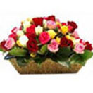 Holi Gift with 30 Mixed Roses Basket to Chennai Delivery