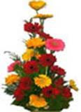 Get well Soon with 24 Red Yellow Gerbera Basket to Chennai Delivery