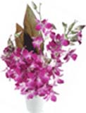 Mothers Day Gift with 10 Stem Orchids in Vase to Chennai Delivery