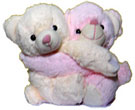 Send Soft Toy Twin Teddy to Chennai Delivery.