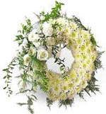 send Big Wreath with White Roses and daises for Condolence to Chennai Delivery