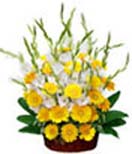 Holi Gift with Yellow Gerbera & Glads Basket to Chennai Delivery