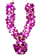 Send condolence gifts with Garland to chennai delivery.
