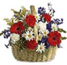 Mixed Congratulations Flower Basket to Chennai Delivery