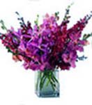 Wedding Gifts with 10 Stem Orchids in Vase to Chennai Delivery