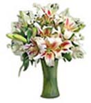 Lily Flowers in a Vase to Chennai Delivery 