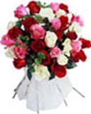 Love Bouquet Flowrs 36 Mixed Roses to Chennai Delivery 