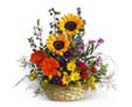 Thank you with Mixed Bright Flower Basket to Chennai Delivery